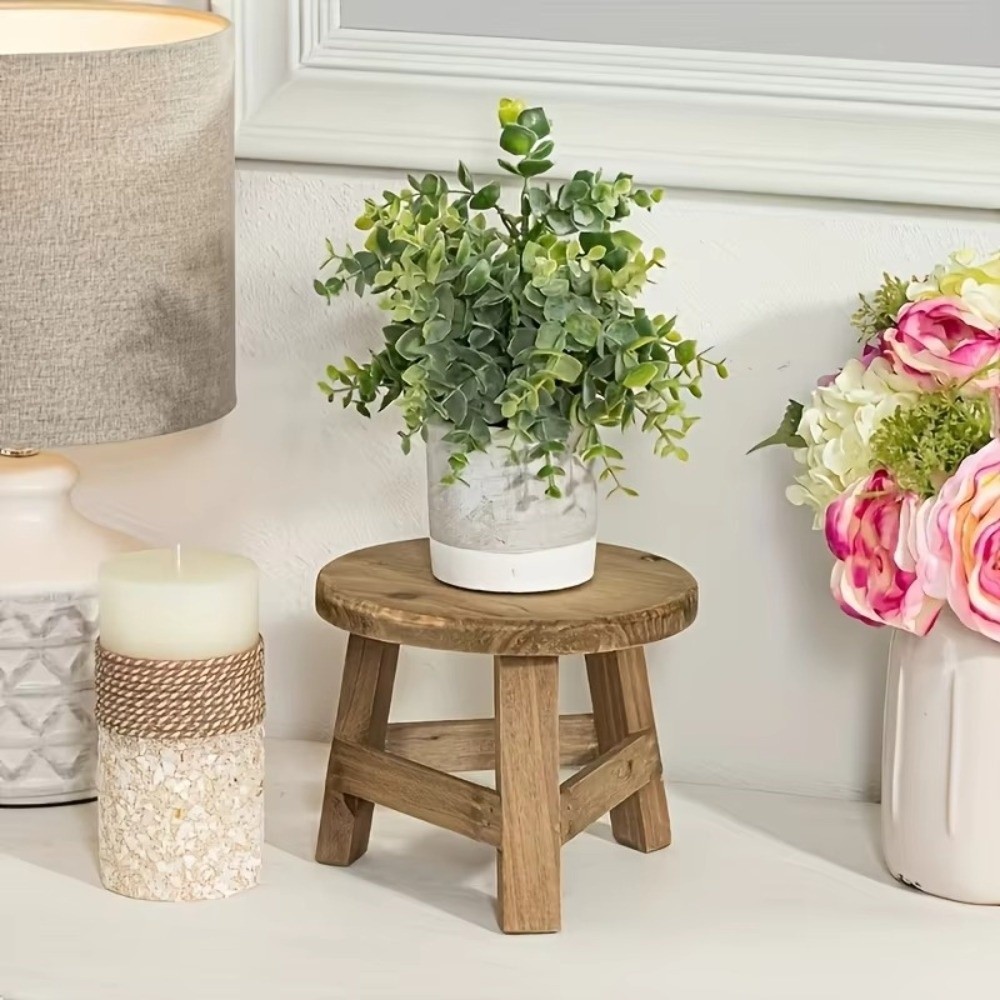 Echeveria Succulent - Modern Bonsai Rack Wooden Mini Stool