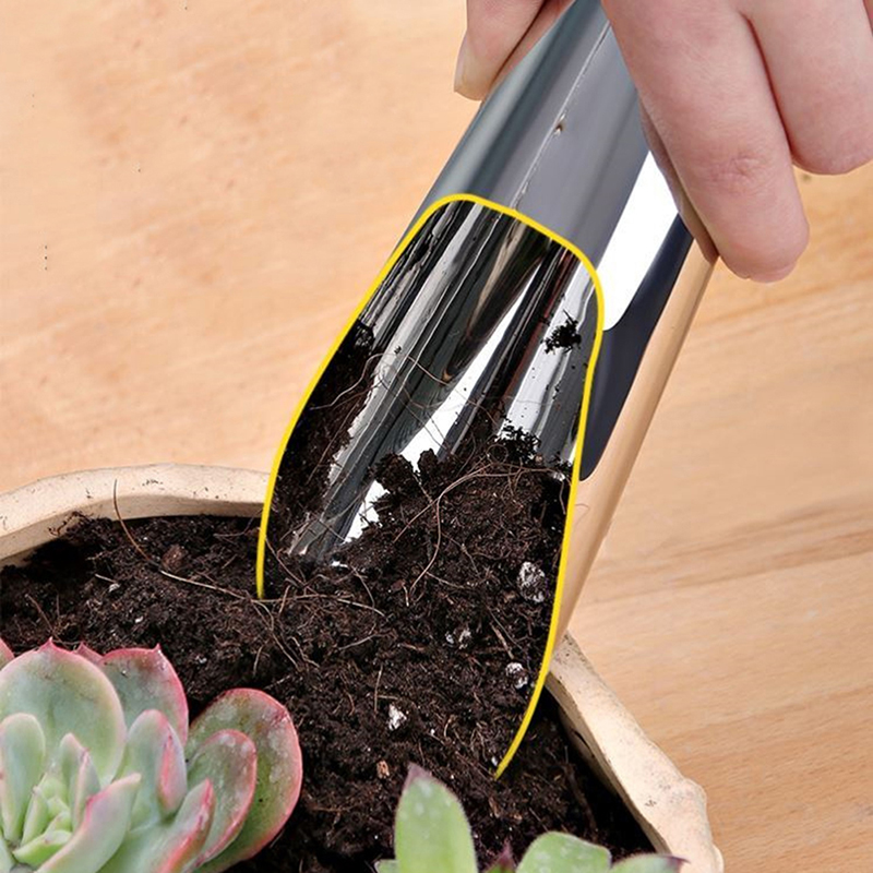 1Pc New Soil Stainless Steel S - Echeveria Succulent ulasan dan harga