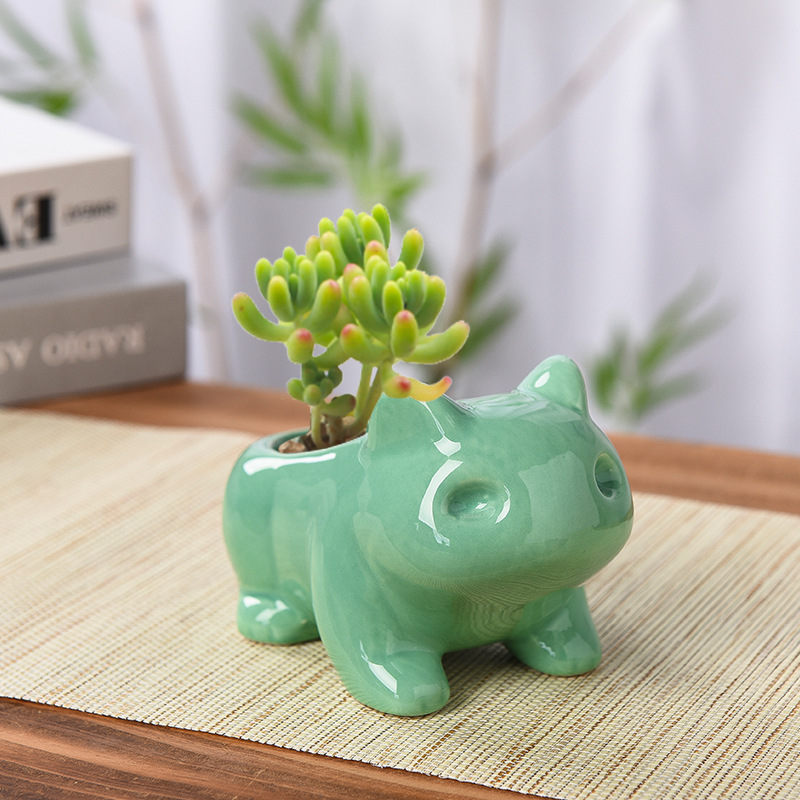 Creative Succulent Planter Pot - Echeveria Succulent ulasan dan harga