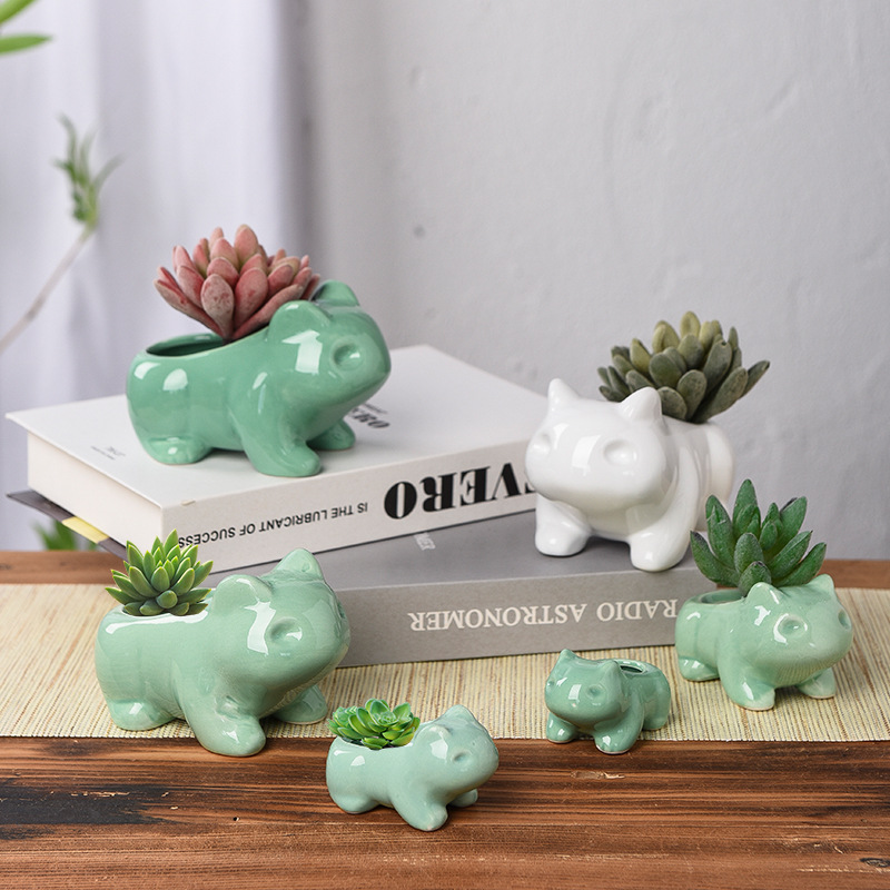 Creative Succulent Planter Pot - Echeveria Succulent ulasan dan harga