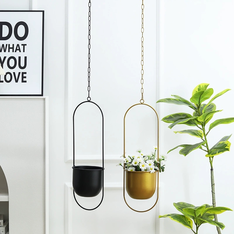 Creative Iron Plant Hanging Ba - Echeveria Succulent ulasan dan harga