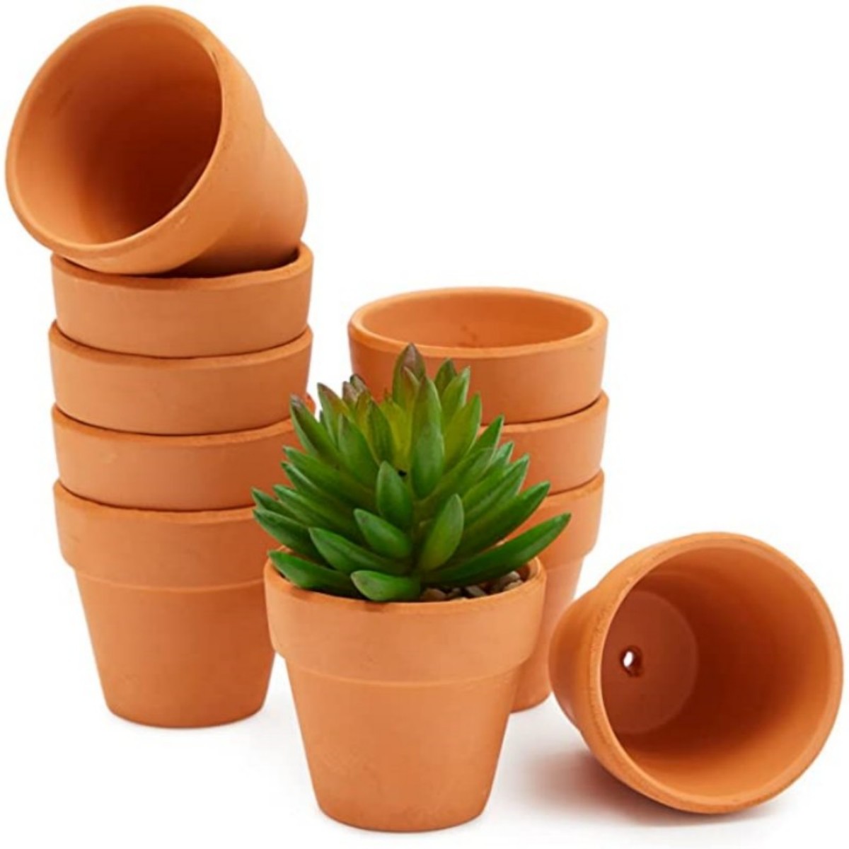 16 Pcs 1.8'' Terra Cotta Pots  - Echeveria Succulent ulasan dan harga