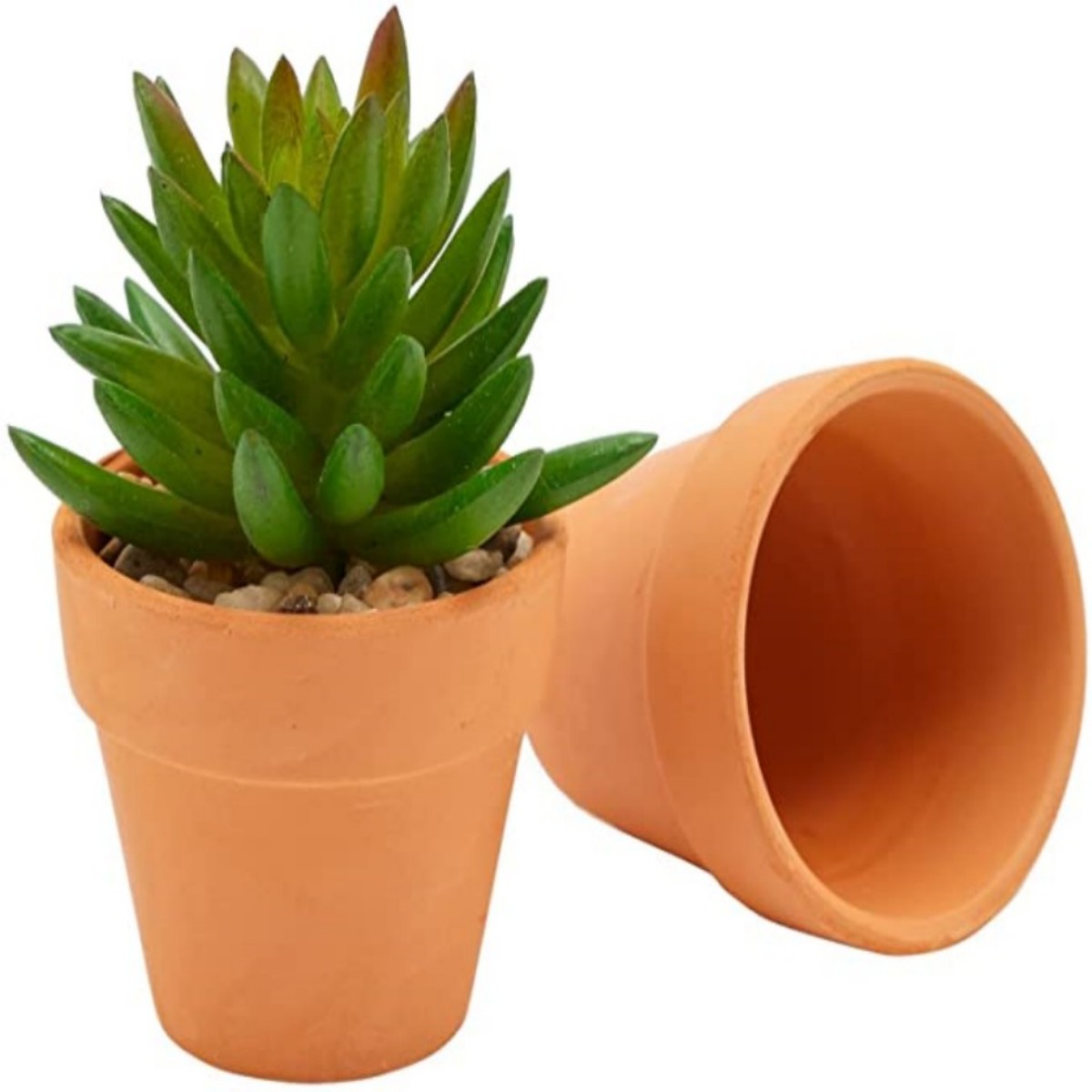 16 Pcs 1.8'' Terra Cotta Pots  - Echeveria Succulent ulasan dan harga