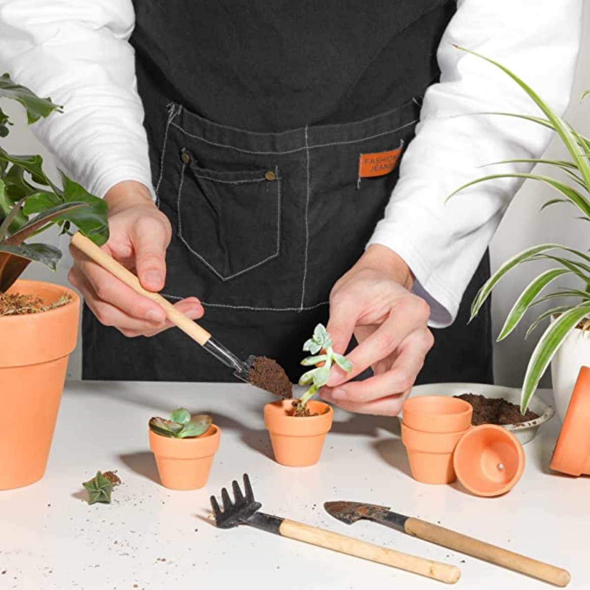 16 Pcs 1.8'' Terra Cotta Pots  - Echeveria Succulent ulasan dan harga