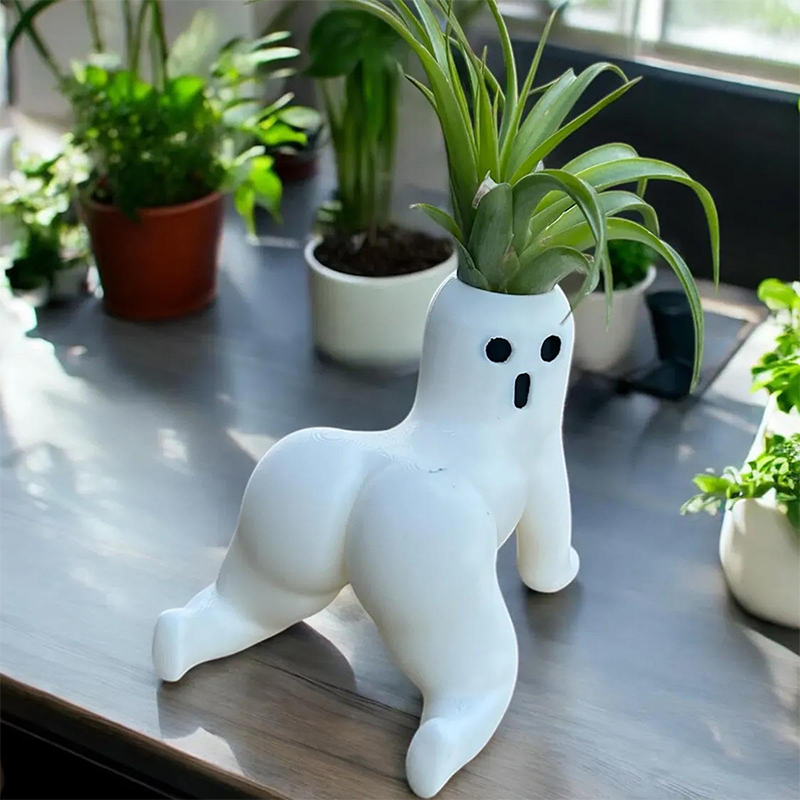 Funny Big Booty Ghost Planter  - Echeveria Succulent ulasan dan harga