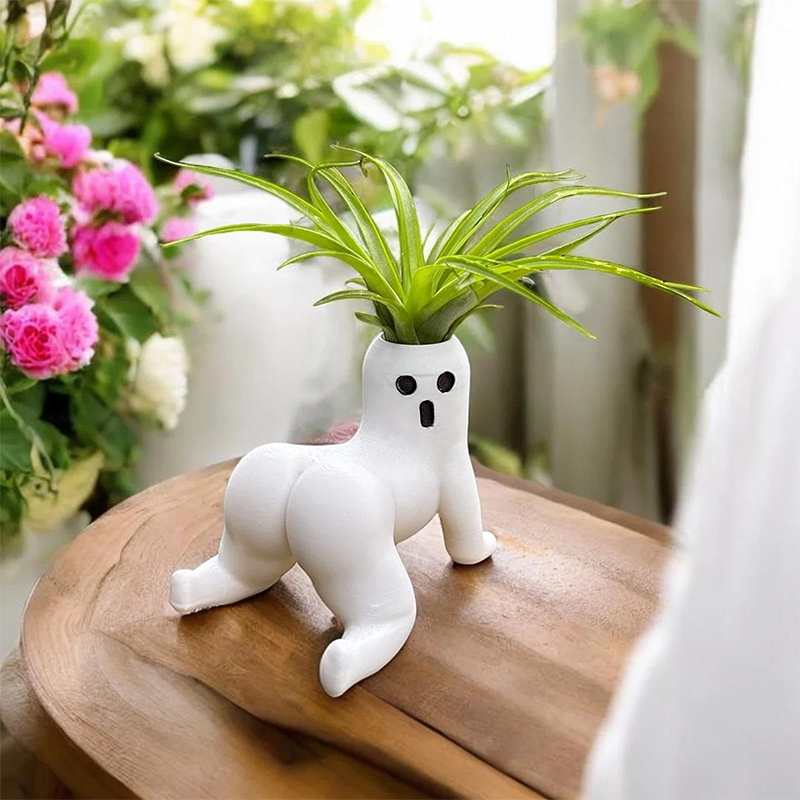 Funny Big Booty Ghost Planter  - Echeveria Succulent ulasan dan harga