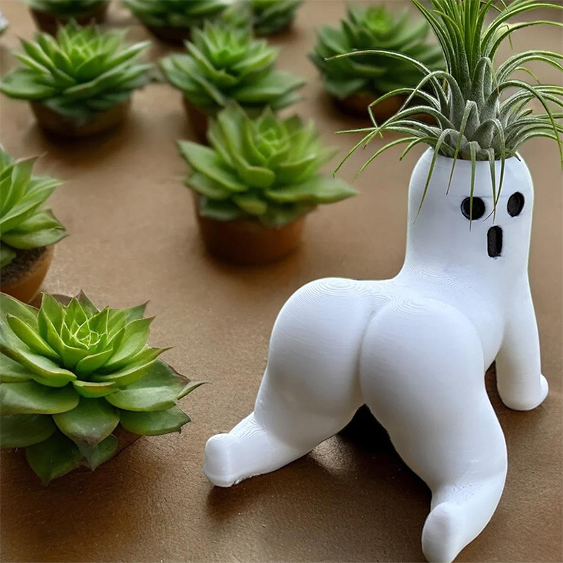 Funny Big Booty Ghost Planter  - Echeveria Succulent ulasan dan harga