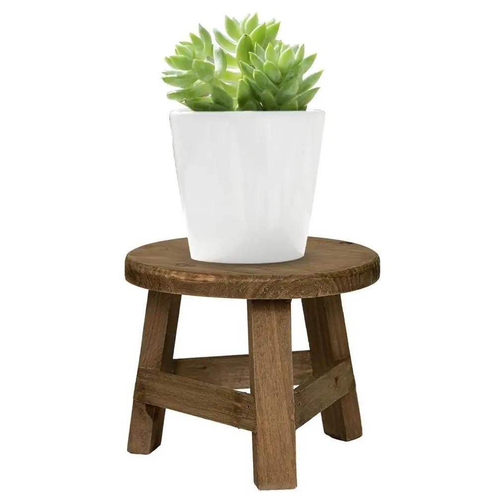 Modern Bonsai Rack Wooden Mini - Echeveria Succulent ulasan dan harga